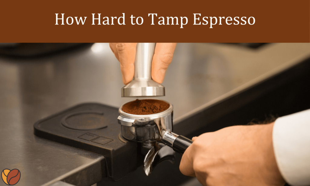 The Proper Technique for Tamping Coffee Grounds in a Semi-Automatic Espresso Machine