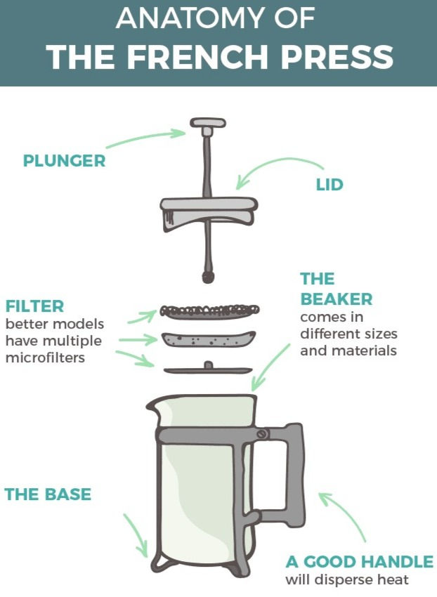 What Are The Main Components Of A French Press?