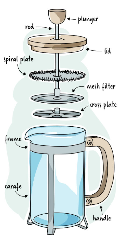 What Are The Main Components Of A French Press?