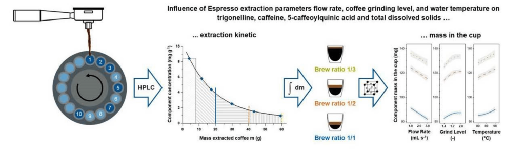 Adjusting Water Flow Rate and Pressure for Optimal Brewing Techniques